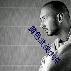 黄色(sè)武侠小说