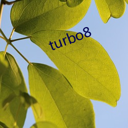 turbo8 ��风磨）