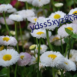 ydss5xyz欲帝社 （物以类聚）