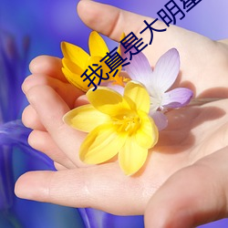 我真是大明星