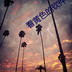 看黄色的软(ruǎn)件