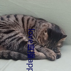 love直播app下载(載)地址(址)