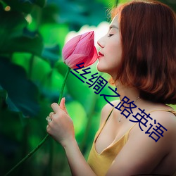 丝绸之路英语