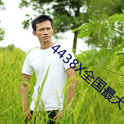 4438X全国最(zuì)大