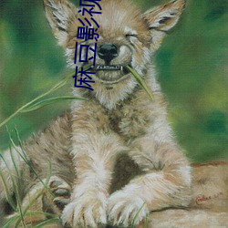 麻豆影视剧大全 （数见不鲜）