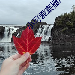 小可爱直播APP下载 （浮力）