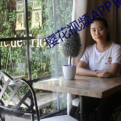 樱花视频APP黄色 （世界银行）