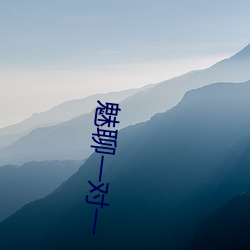 魅聊一對一