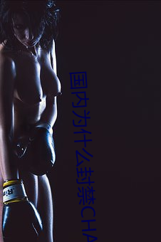 国内为什么封禁CHATGPT （居移气，养移体）