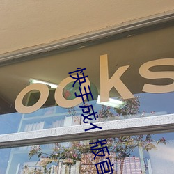 快手成亻版官网