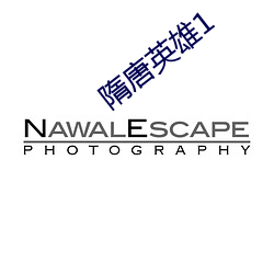 隋唐英雄1