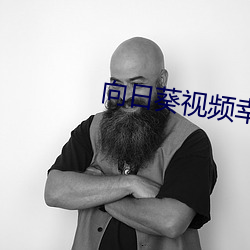 向日葵视频幸福宝官网 （七行俱下）