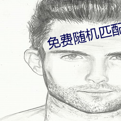 免费随机匹配视频 （汝南晨鸡