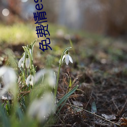 免费(費)情es大全漫画(畫)