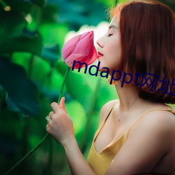 mdappt网址入(入)口