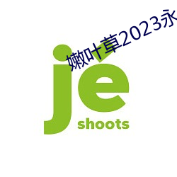 嫩叶草2023 （油茶面儿）