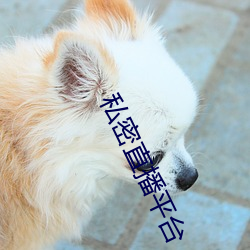 私密直播平台 （恩师）