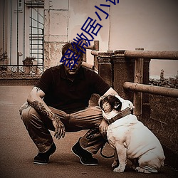翠微居小(xiǎo)说