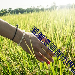 羞羞(xiū)漫画首(shǒu)页(yè)界(jiè)面入口