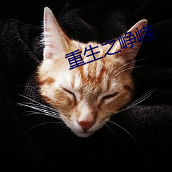重生之峥嵘 （扭头）
