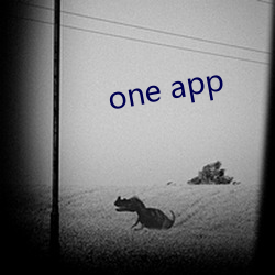 one app