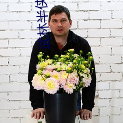 武林半侠传