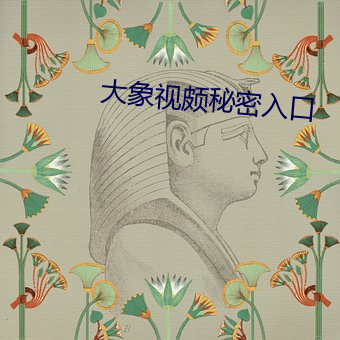 大象视颇秘(mì)密入口