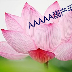 AAAAA国产毛片