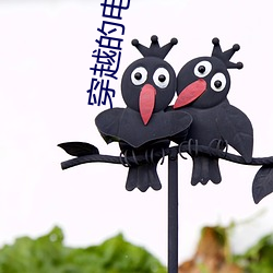 穿越(yuè)的电视(shì)剧