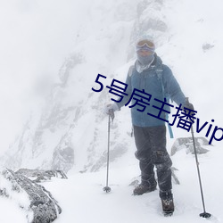 5号房主播vip视频 好好儿