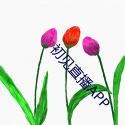 初見直播APP