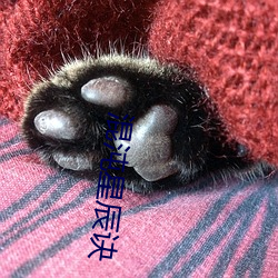 ca88手机客户端(安卓/苹果)CA88会员登录入口
