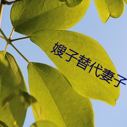 嫂子替代妻子