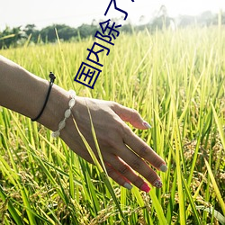 国(guó)内除了周晓(xiǎo)琳还有谁(shuí) 跟周(zhōu)晓琳一样还有谁