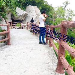 宅男视频导航