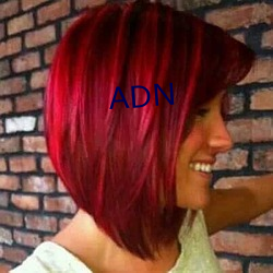 ADN һɲ䣩