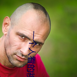 一個人看的視頻全免費觀看高清