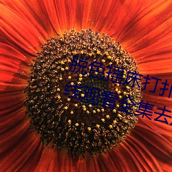 脫色搖床打撲克視頻c高清免費在線觀看全集去廣告