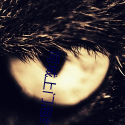 同(同)城(城)上门泡约免费
