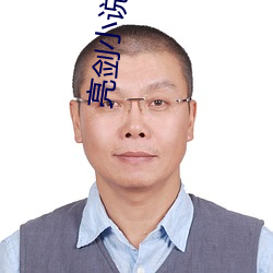 亮剑小说