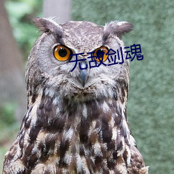 无敌剑魂