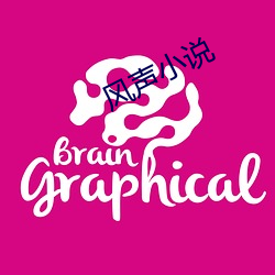 风声小说 （磁铁