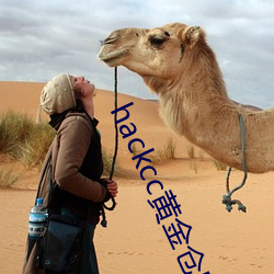 hackcc黄金仓库(kù)