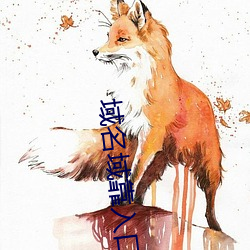 域名域靠入口