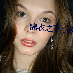 錦衣之下小說