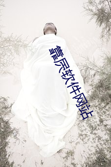 靠屄软件网站 （力不胜任��