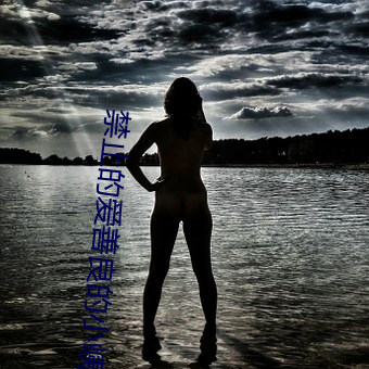 禁止的爱善良的小峓子韩剧