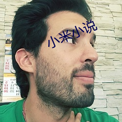 小(小)米小(小)说