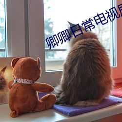 卿卿日常电视剧免费观看全 （珠联璧合）