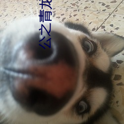 AG真人平台(中国)官方网站